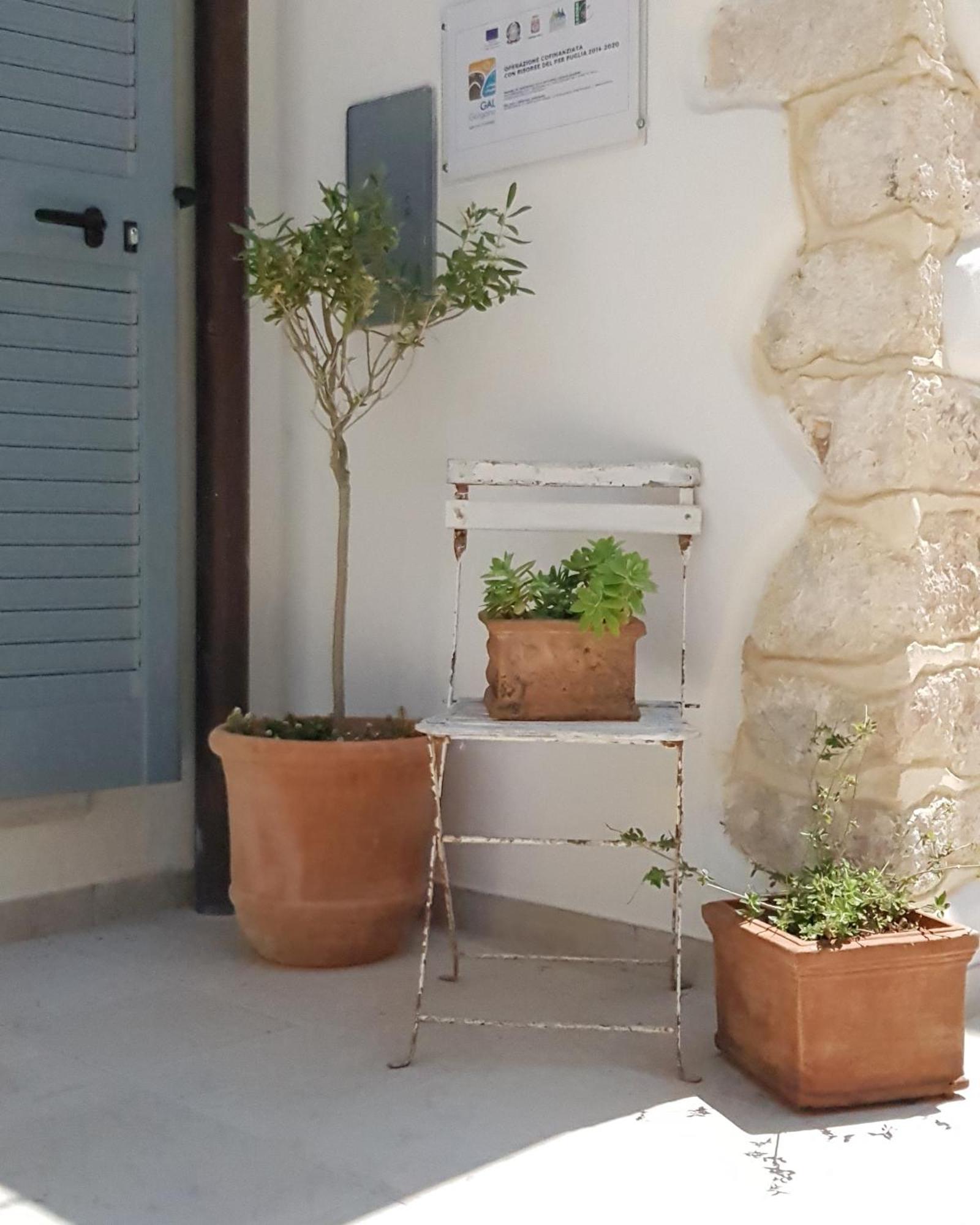 فيكو دل غراغانو Gargara Bed And Breakfast المظهر الخارجي الصورة